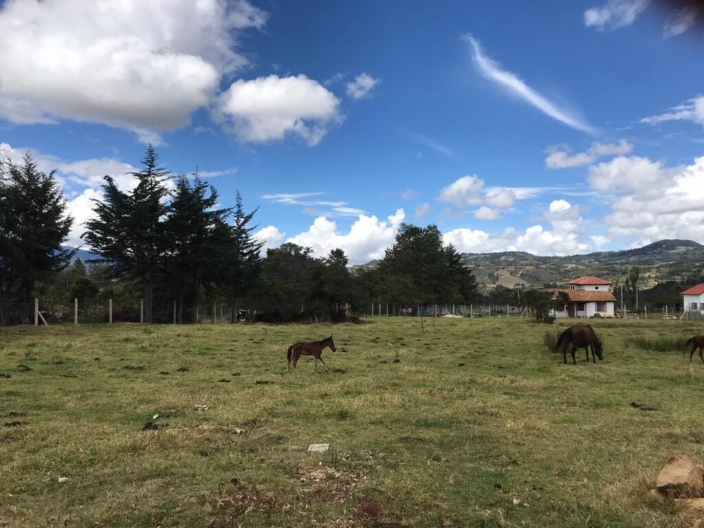 finca raiz villa de leyva